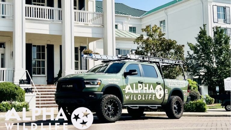Alpha Wildlife Truck